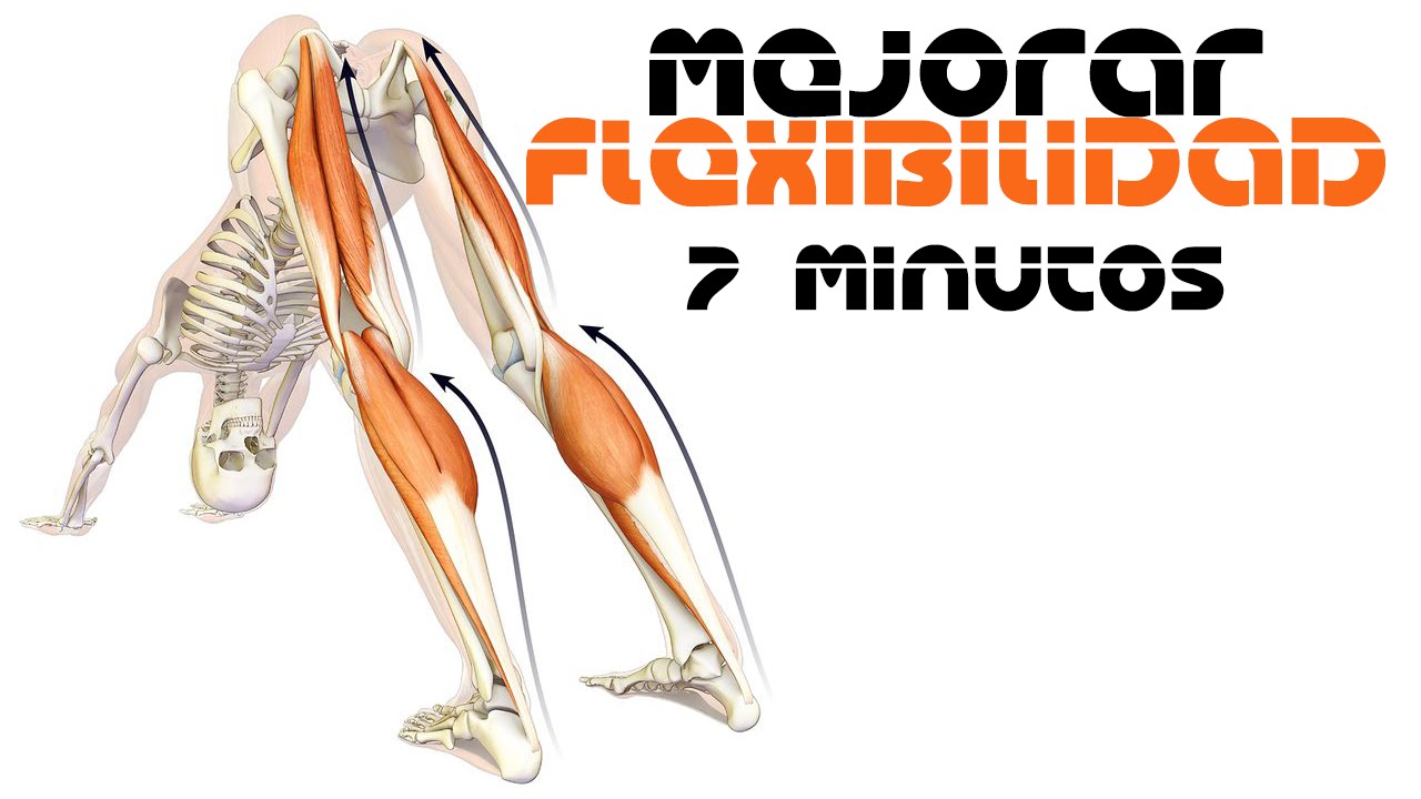 Claves para Mejorar tu Flexibilidad en el Entrenamiento 1 2a3cr8veoma