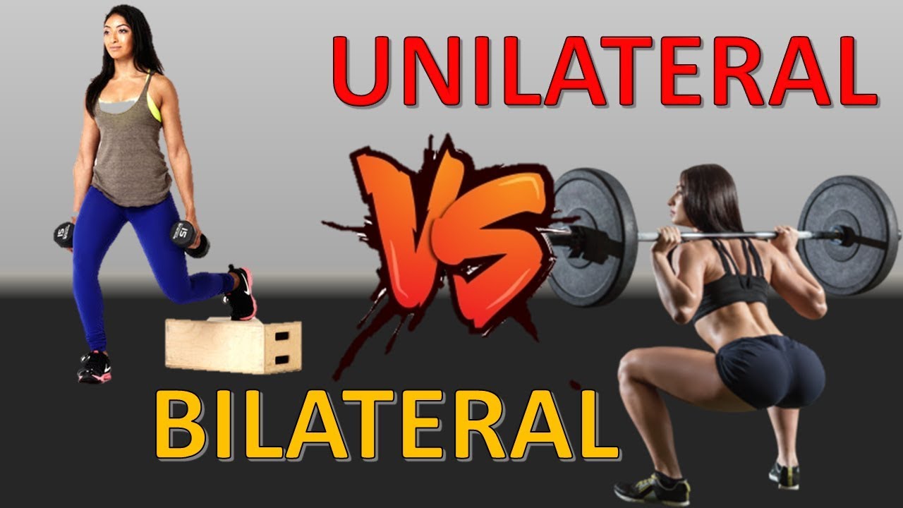 Optimización de la Fuerza a través de Ejercicios Unilaterales 52 ejercicios unilaterales son mas funcionales f09fa494 sentadilla bulgara y otros