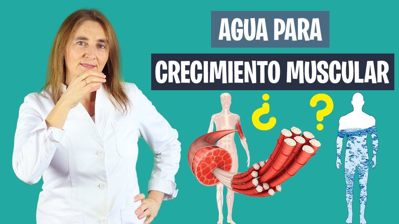 La importancia de la hidratación en el entrenamiento de musculación 1 si bebes agua asi aumentaras tu masa muscular como hidratar los musculos nutricion deportiva 1
