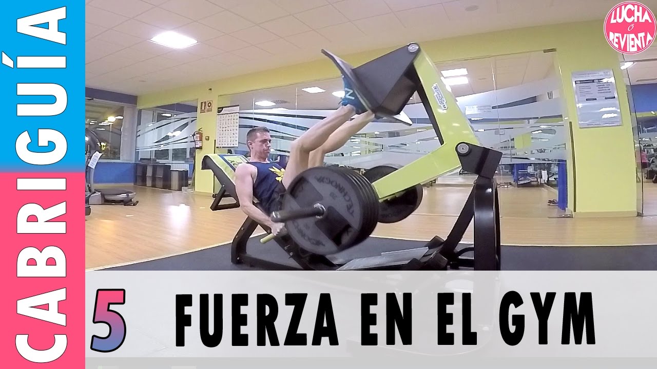 Maximiza tu potencia y fuerza en el gimnasio 1 veqm1aypivw